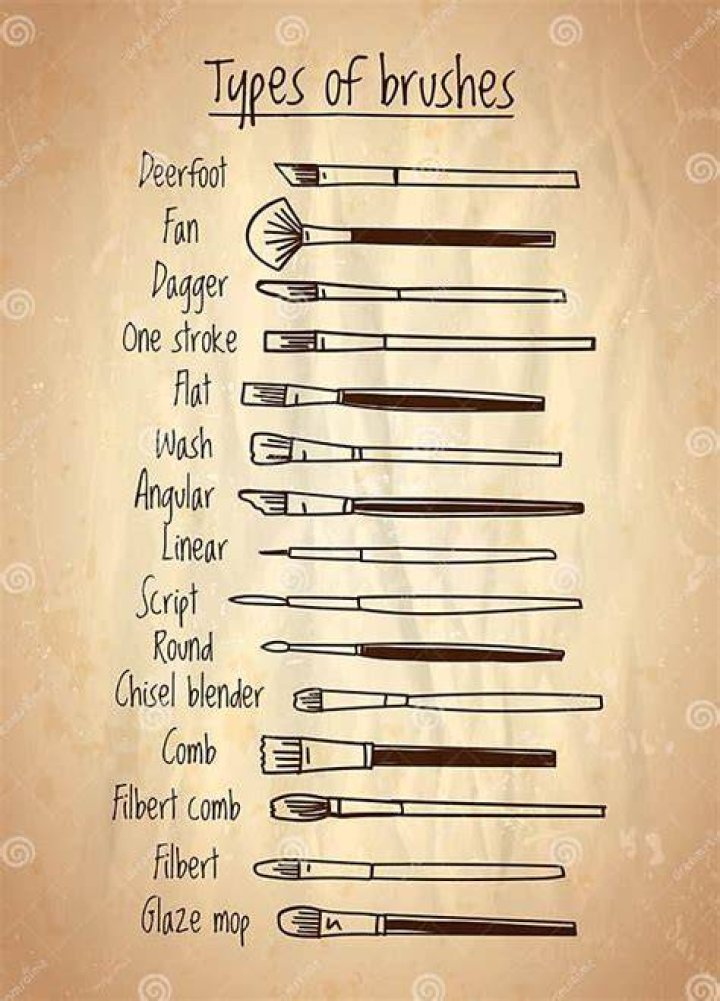 10 types of art brushes to paint canvas Whitewaves