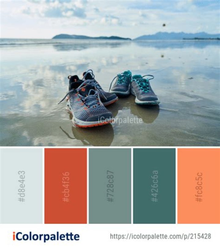 19 Shoe Color Palette ideas in 2020 iColorpalette Color palette