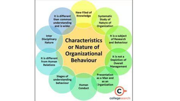 Ability in Organizational Behavior Types of Ability (Explained)