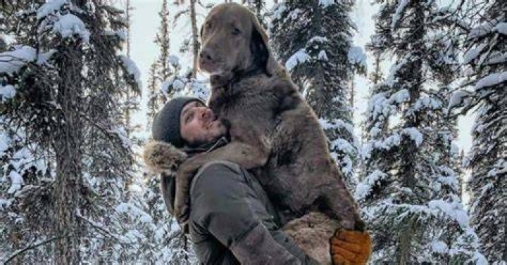 Alex Javor, Life Below Zero, AK Digital Art by Scott Bowlinger Fine