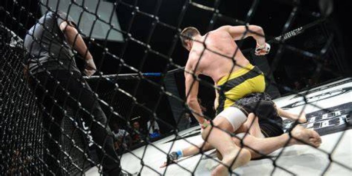 Alexander Volkanovski vs. Brian Ortega full fight video highlights