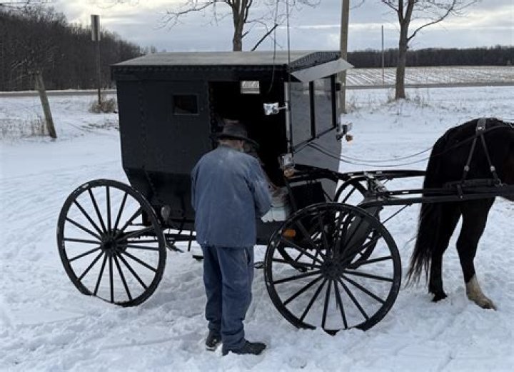 Amish Buggy Driver Charged With Drunk Driving, Hit Cop Car