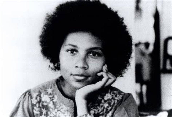 bell hooks and the Sour &lsquo;Lemonade&rsquo; Review
