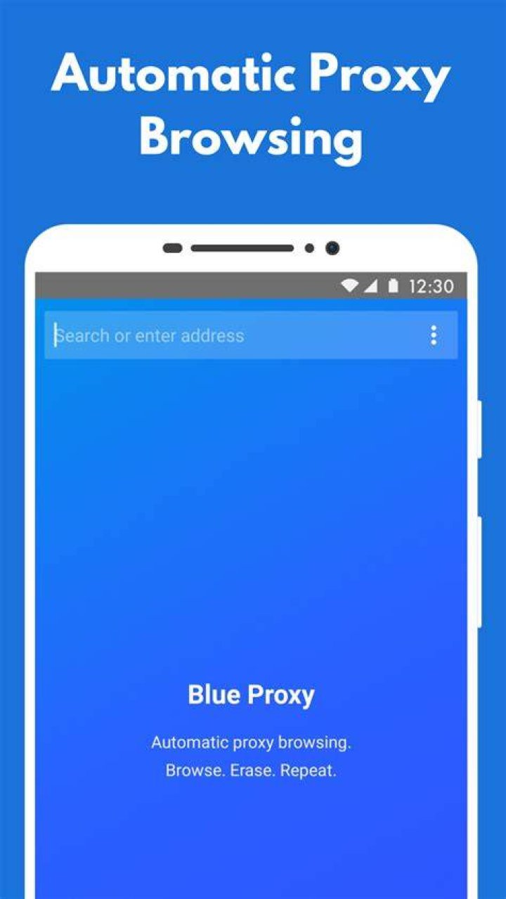 Blue Proxy Proxy Browser VPN Apps on Google Play