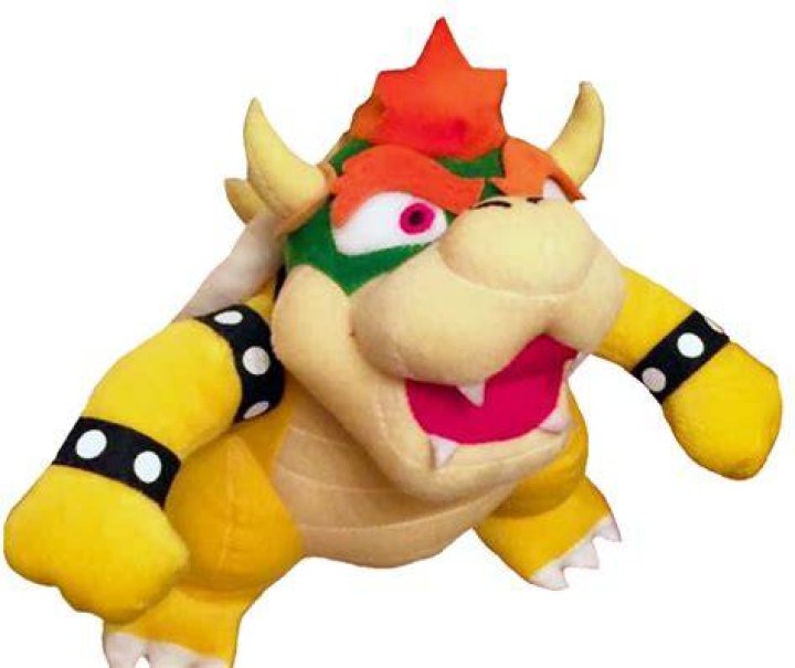 Bowser SuperMarioLogan Wiki Fandom