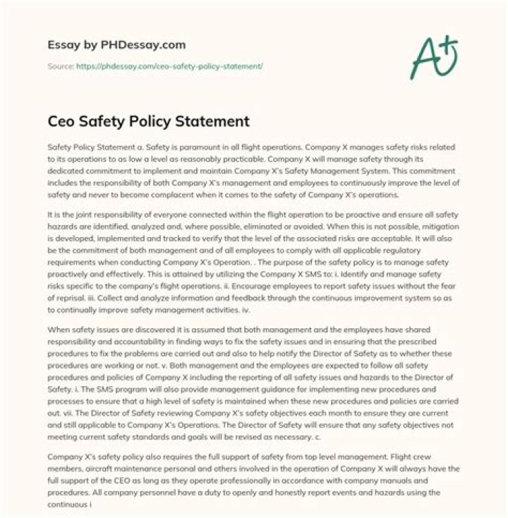 Ceo Safety Policy Statement (600 Words)
