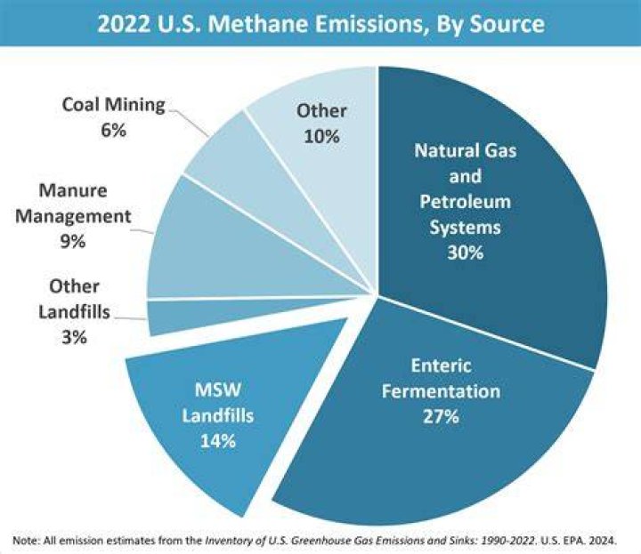 Comparing emissions of MiamiDade landfills, waste incinerator Miami