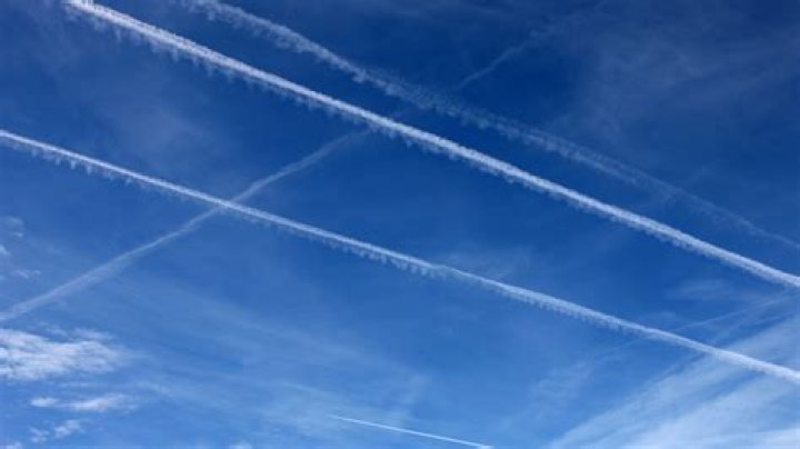 Contrails in the Sky Petals from the Basket