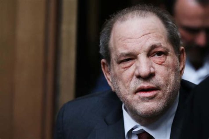 Dashiell Weinstein Is Harvey Weinstein’s Only Son — Facts about Him