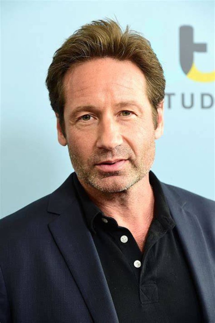 David Duchovny Photos Photos 2016 Winter TCA Tour Day 11 Zimbio