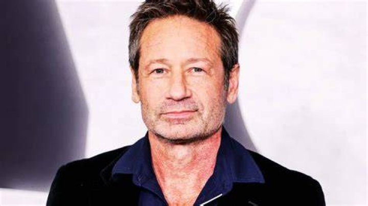 David Duchovny reveals how his new novel is connected to 'The XFiles'