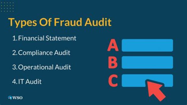 Fraud in Audits Overview, Punishment, Example