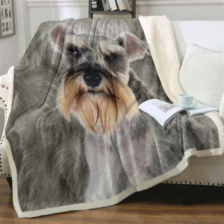 Funny Schnauzer Dabbing Couch Throw Pillow by Barktrends Cover (16" x