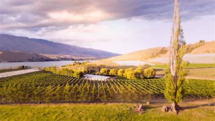 Gallery of Cloudy Bay Winery / Tonkin Zulaikha Greer Architects + Paul