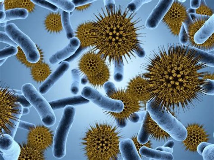 Germ Concerns ICS