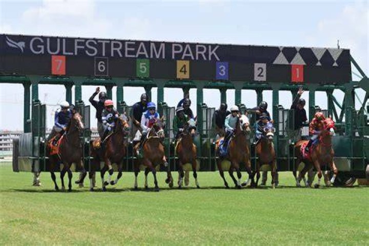 Gulfstream Park Pick 6 Rainbow Six nears the end And Down The