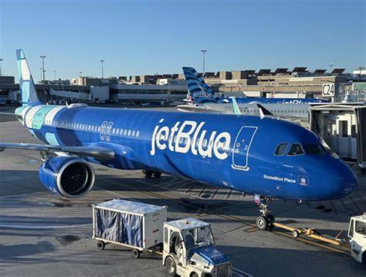 JetBlue blames 'global' system outage for checkin problems, long lines