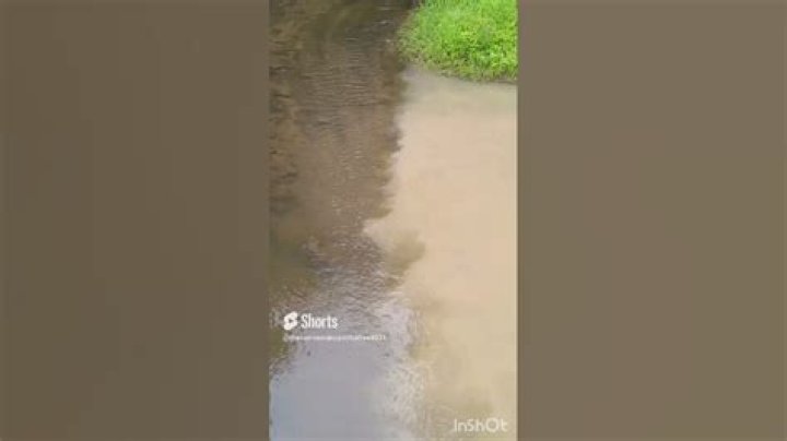 Johnson Creek flooding/debris removal YouTube