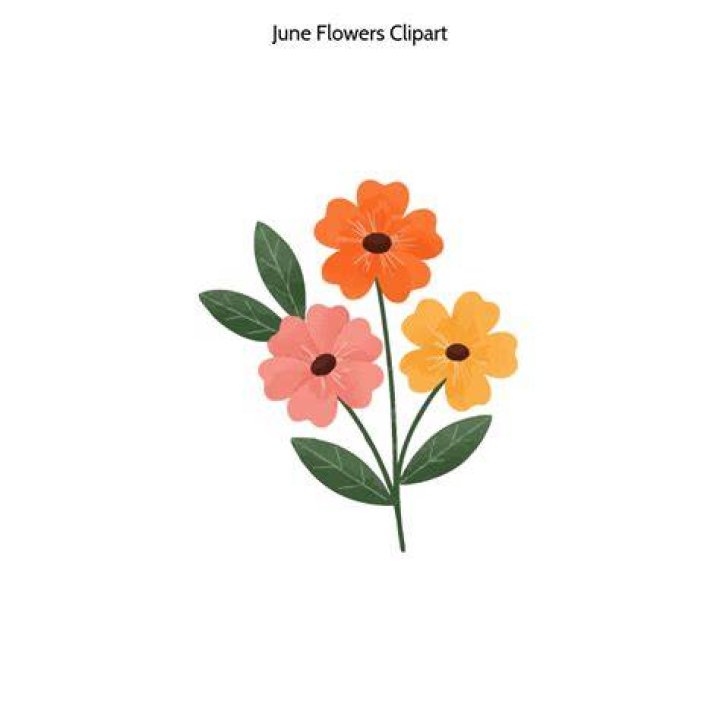 June clipart june flower, June june flower Transparent FREE for