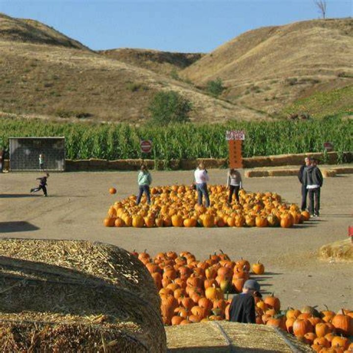 Lombardi Ranch scheduled to open to public for pumpkins and pictures only