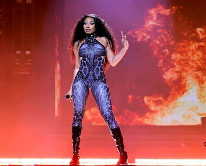 Megan Thee Stallion Not Joining BTS at 2021 American Music Awards