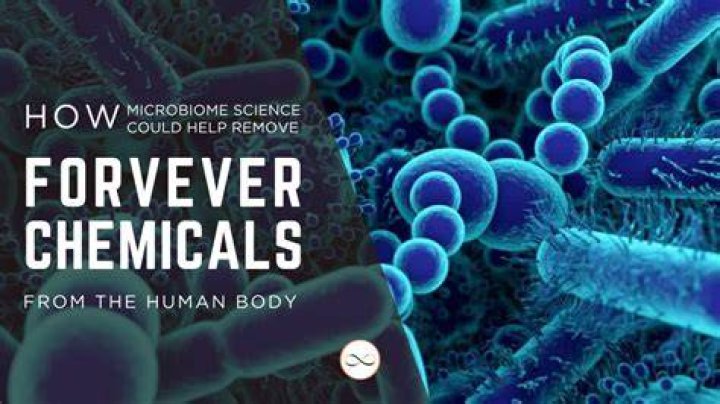 Microbiome Science Could Bring a Revolution in Medical Care NBC News