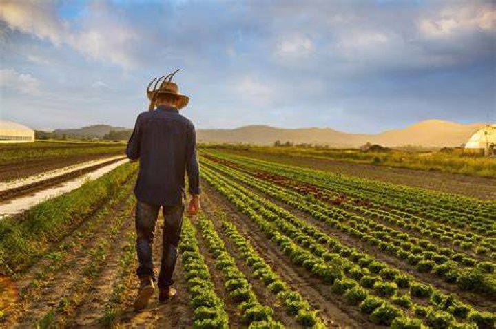Modern farmers work harder than cavemen did study