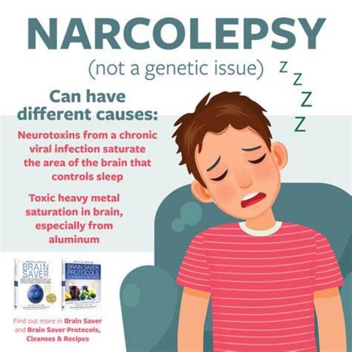 Narcolepsy (NORD) Video, Anatomy & Definition Osmosis