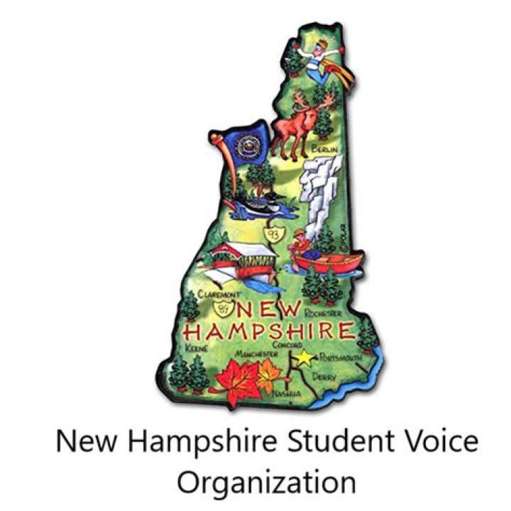 New Hampshire student singled out for wearing propolice flag Fox
