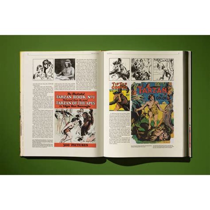 Oldfashioned Comics Hal Foster's Prince Valiant Sunday Strips 2015