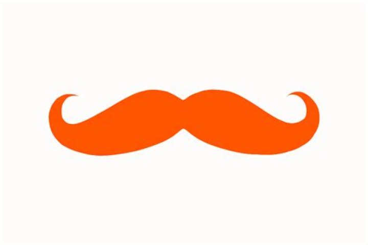 Orange Mustache Clip Art at vector clip art online, royalty