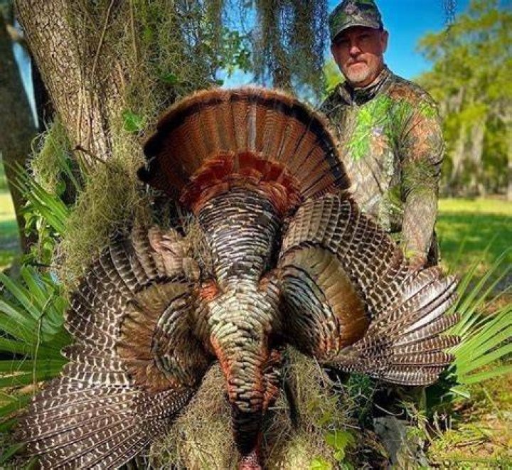 Osceola Turkey Hunting Florida Southeast BackCountry