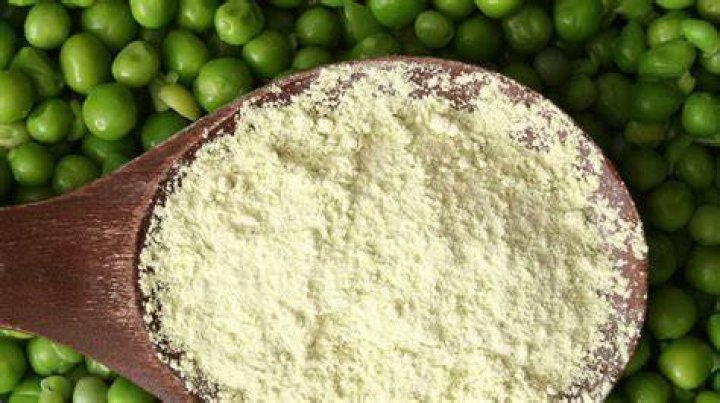 Pea Protein Powder Nutrition, Benefits and Side Effects
