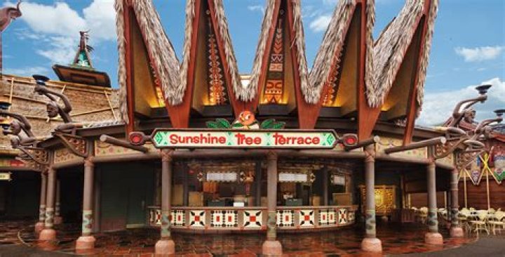 PHOTOS Sunshine Tree Terrace Debuts New Orange Bird Sign at Magic