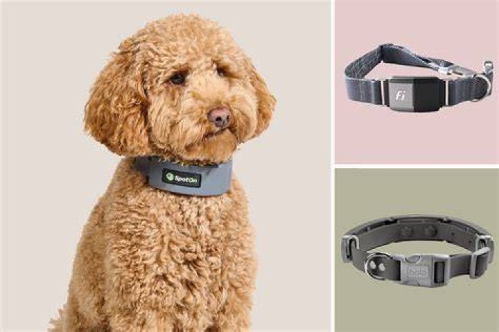 Piñatex Dog Collars / Two Dogs & Co Christmas dog collar, Handmade