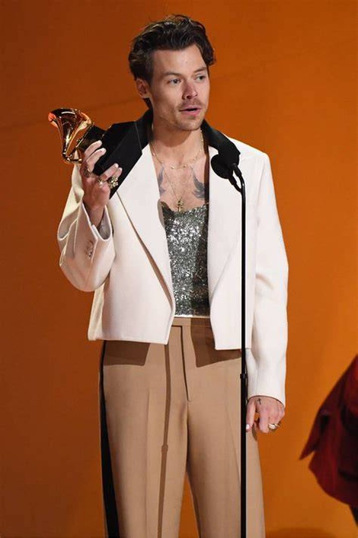 Presenting the Harry Stylesapproved Harris Reed genderfluid
