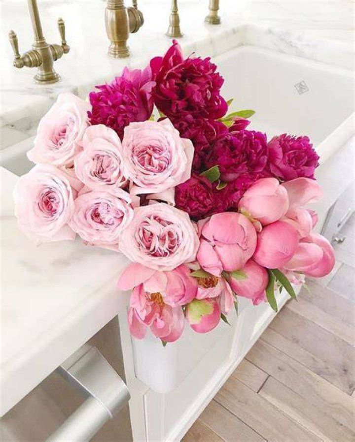 Rach Parcell (Pink Peonies) on Instagram “Beautiful Saturday morning