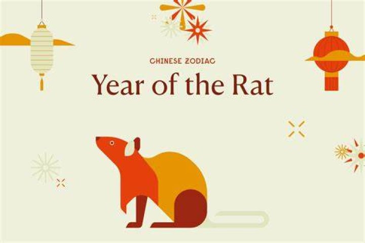 Rat and Snake Chinese Zodiac Compatibility Horoscope, Year of Rat and