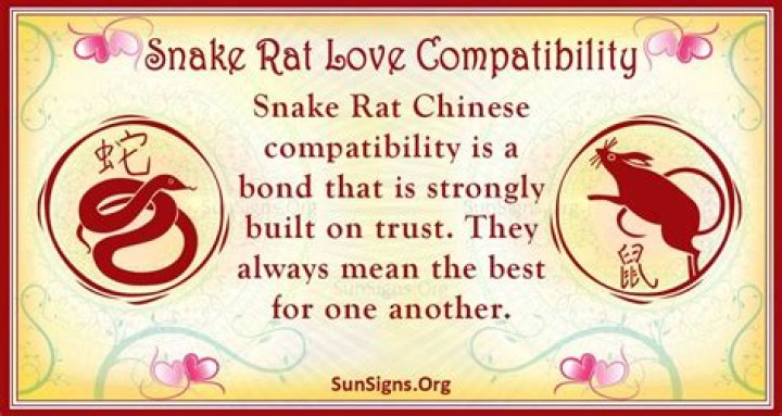 Rat compatibility with snake Chinese horoscope