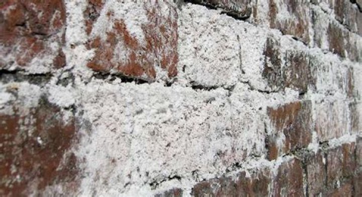 Removing White Residue Efflorescence From Brick Pavers In Oakland