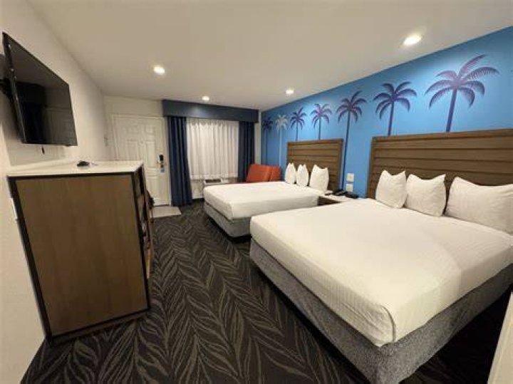 Room at Tropicana We had a jacuzzi suite! How do you spell… Flickr
