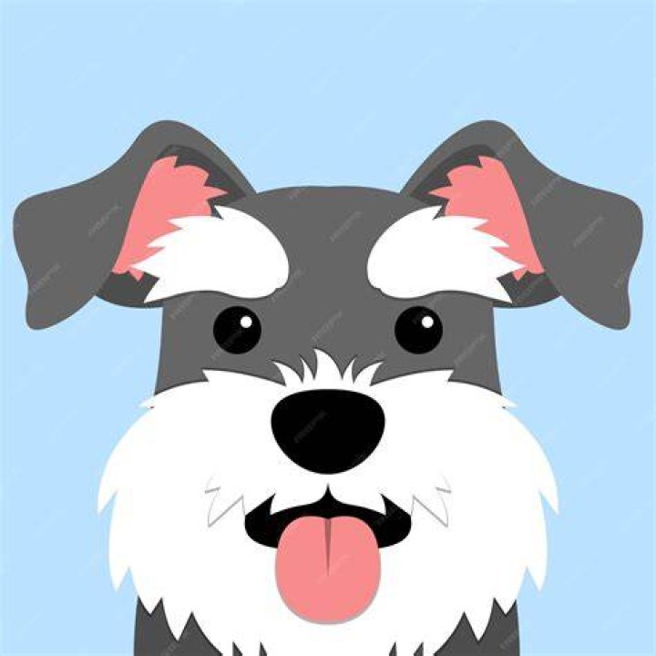 Schnauzer Cute dog cartoon, Cute dog drawing, Cartoon dog