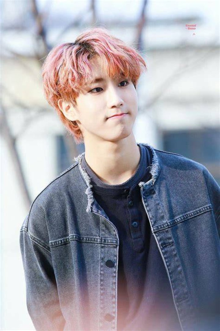 Stray Kids Han Jisung Felix, Lee, Fandom, Ji Sung, Boys Who, Pop