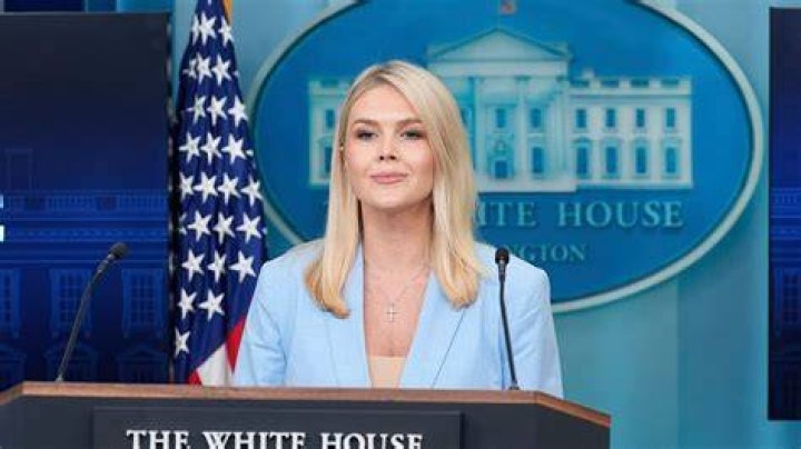 Taylor says White House official told him Trump didn't "want to provide