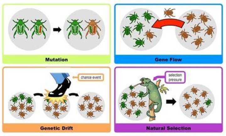 The 4 Mechanisms of How Ketamine Works — Reset Ketamine Ketamine