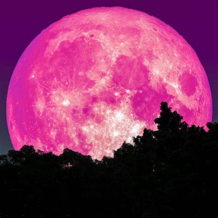 The Pink Moon Of April CosmosPNW