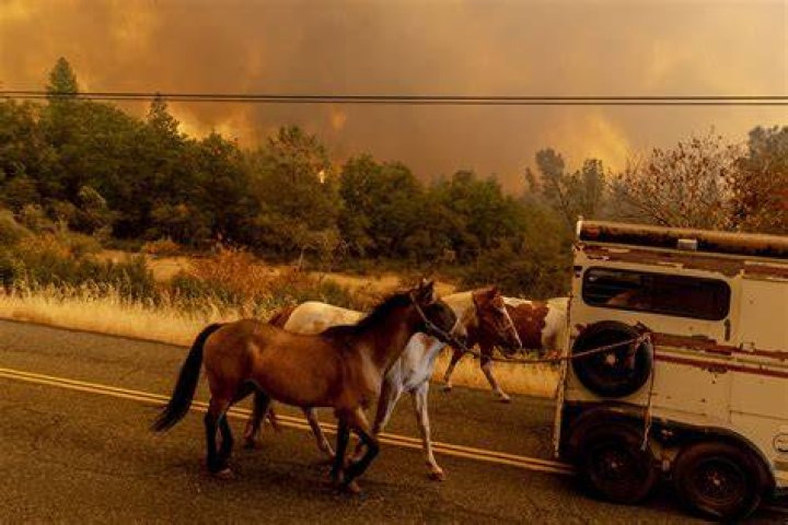 Thousands More Flee FastSpreading Wildfire in Canada The New York Times