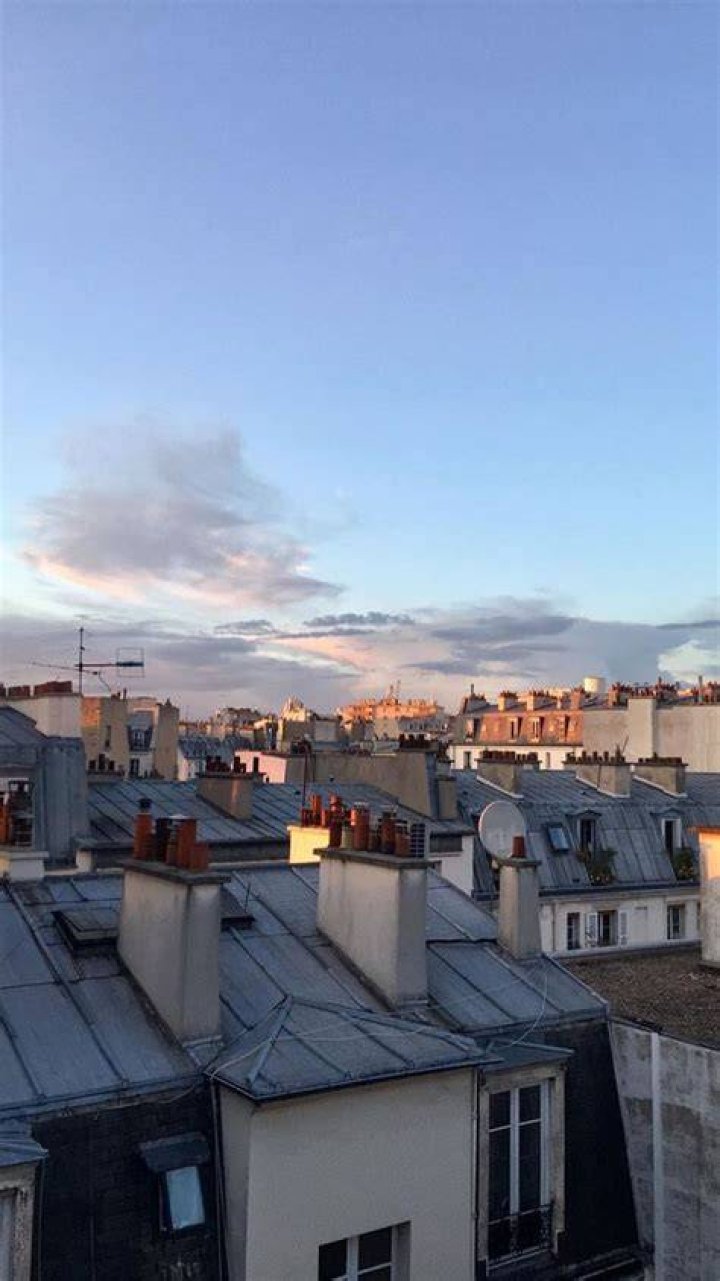 What Happened to Paris Sky? Why Paris Sky Uses a Wheelchair