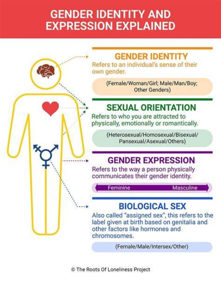 What Is My Gender Identity? Exploring the Spectrum Denver Family