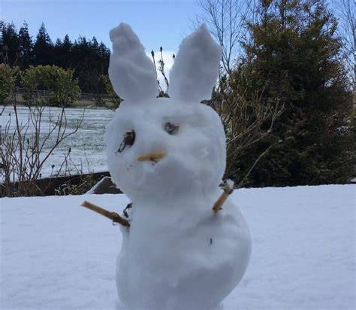 Your pictures Easter snow BBC News